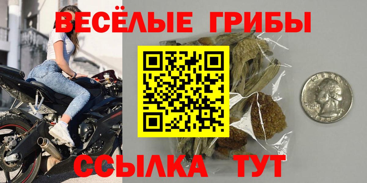 Фролово  Галлюциногенные грибы Psilocybe  Вход с VPN 